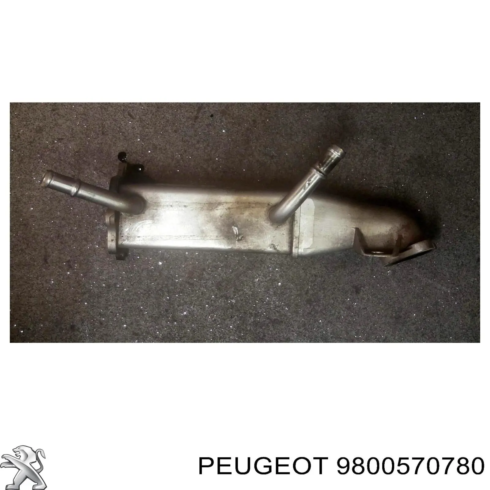 Radiador do sistema EGR de recirculação dos gases de escape Peugeot/Citroen 9800570780 preço, a partir de 163,62 USD