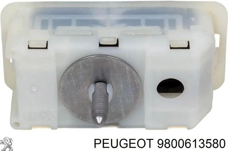 9800613580 Peugeot/Citroen 