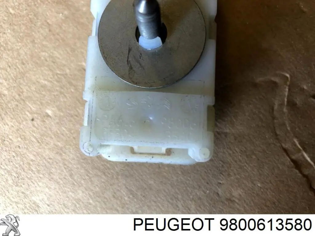  Peugeot/Citroen 9800613580