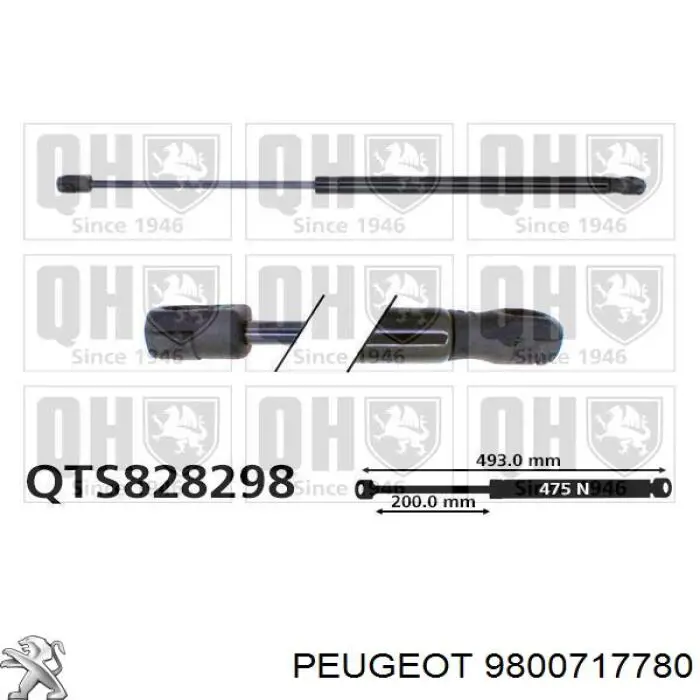 Amortecedor de tampa de porta-malas (de 3ª/5ª porta traseira) Peugeot/Citroen 9800717780 preço, a partir de 21,98 USD