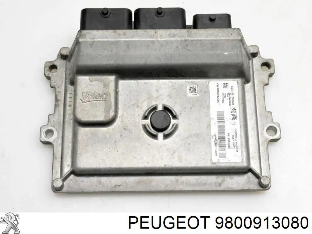  Peugeot/Citroen 9800913080