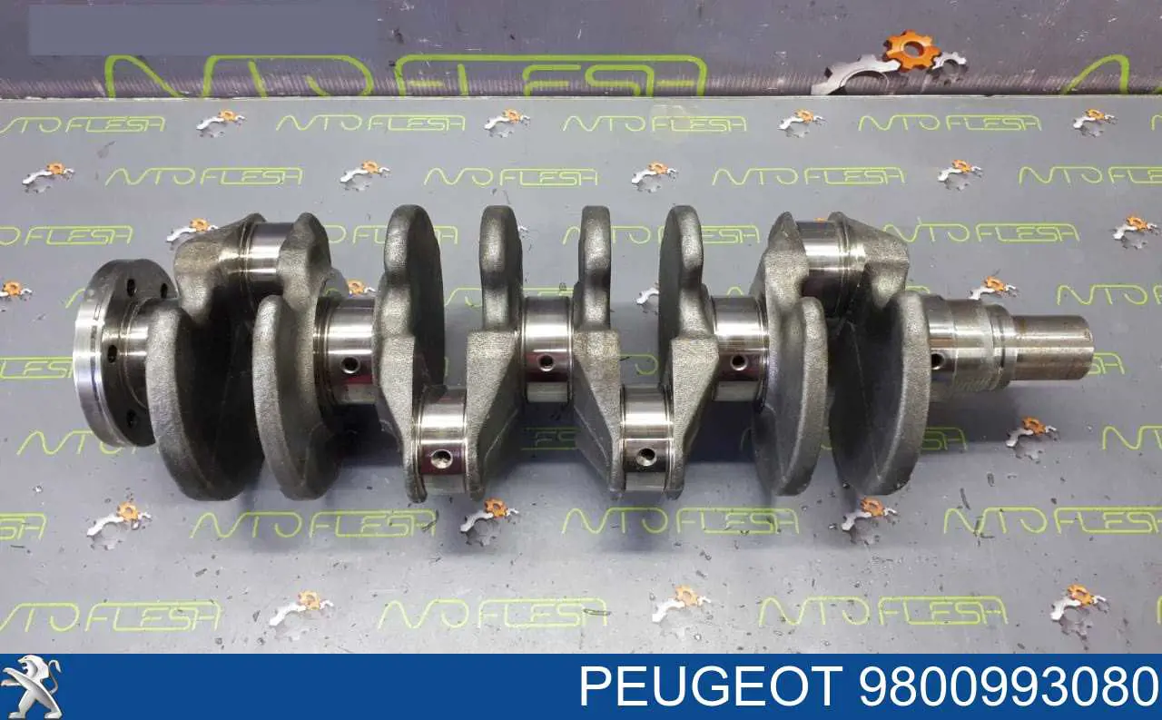 9800993080 Peugeot/Citroen Cambota de motor