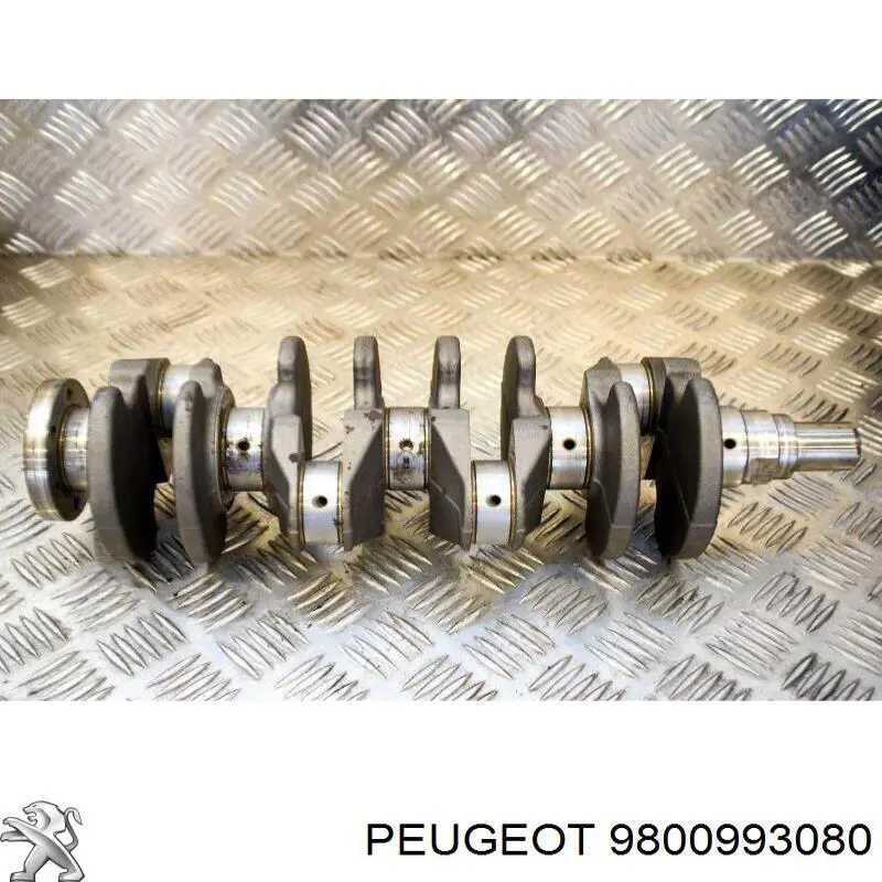Cambota de motor Peugeot/Citroen 9800993080 preço, a partir de 412,18 USD