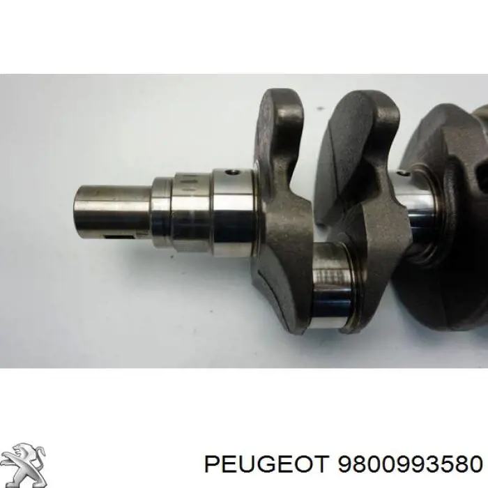 Cambota de motor Peugeot/Citroen 9800993580 preço, a partir de  