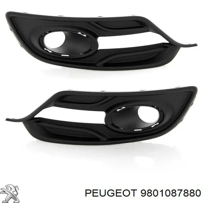 9801087880 Peugeot/Citroen Gozno da porta traseira (de 3º/5º bagageiro)