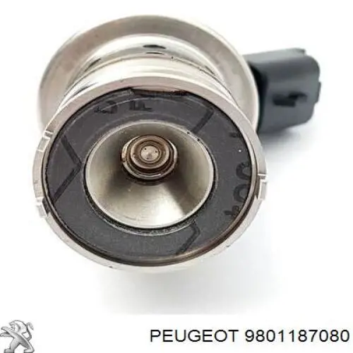 Injetor de injeção AD BLUE 3639255 Peugeot/Citroen