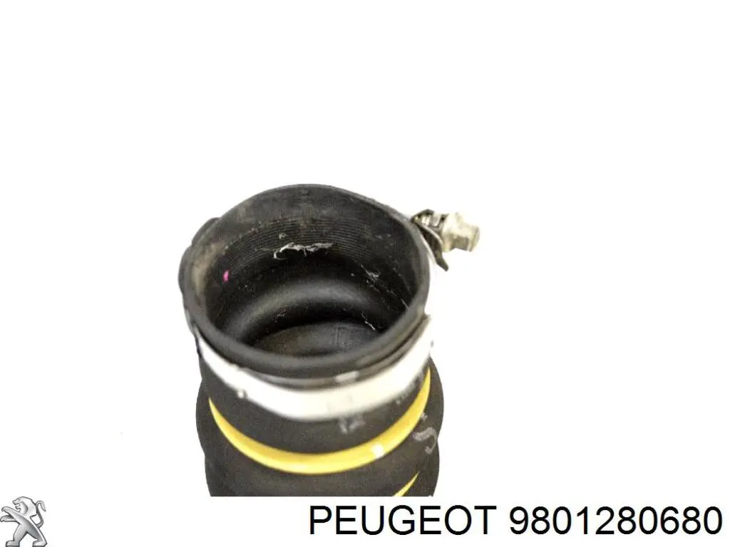 9801280680 Peugeot/Citroen Mangueira (cano derivado) de intercooler