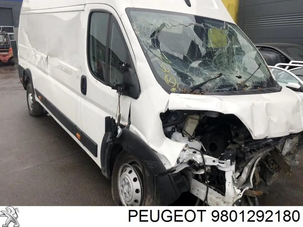 Compre 9801292180 Peugeot/Citroen 