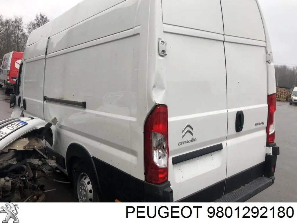 9801292180 Peugeot/Citroen 