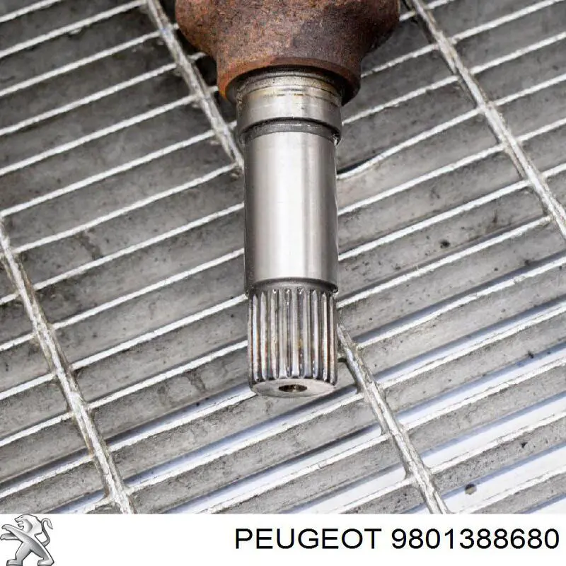 Junta homocinética externa dianteira Peugeot/Citroen 9801388680 preço, a partir de 53,22 USD