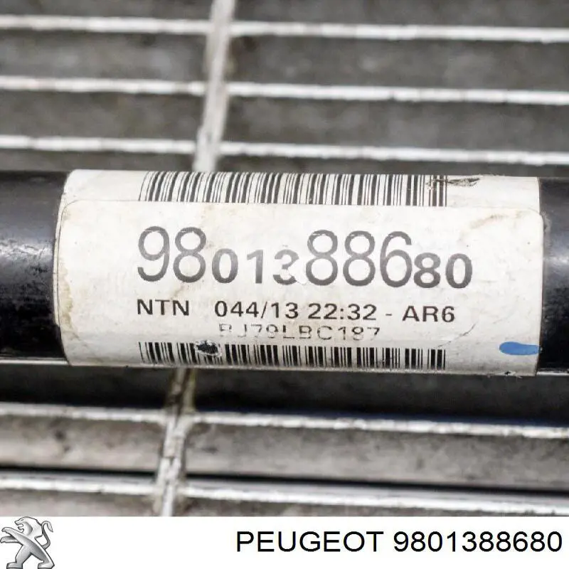Compre 9801388680 Peugeot/Citroen Junta homocinética externa dianteira