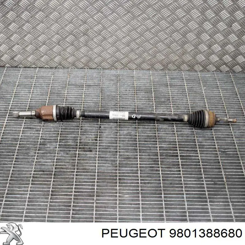 9801388680 Peugeot/Citroen Junta homocinética externa dianteira