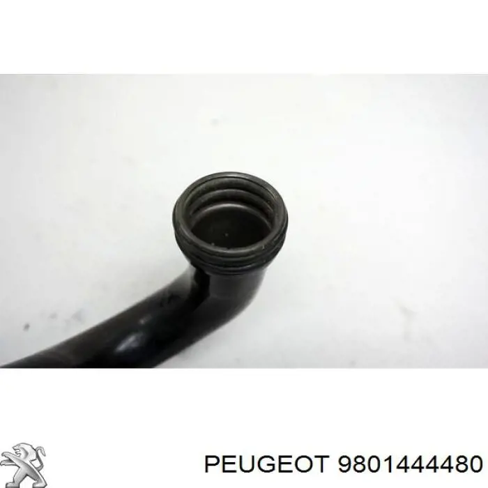 Mangueira (cano derivado) do sistema de esfriamento Peugeot/Citroen 1680409480 preço, a partir de 30,63 USD