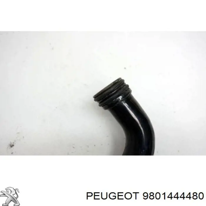 1680409480 Peugeot/Citroen Mangueira (cano derivado) do sistema de esfriamento