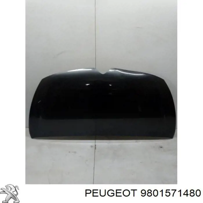 9801571480 Peugeot/Citroen Capota