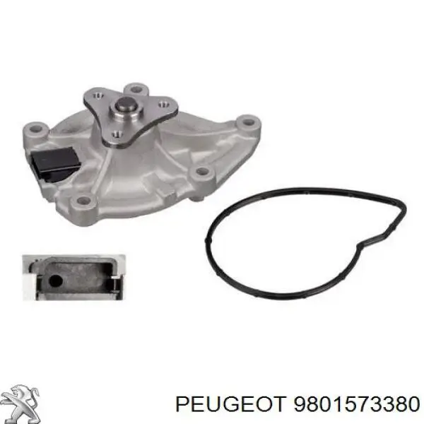 Bomba de água (bomba) de esfriamento Peugeot/Citroen 9801573380 preço, a partir de 34,41 USD
