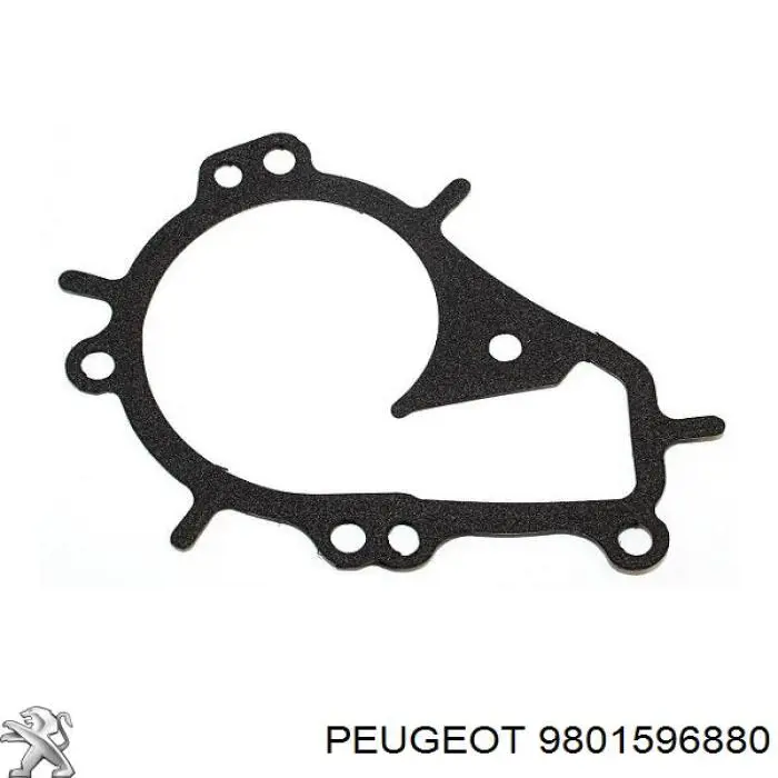 9801596880 Peugeot/Citroen Vedante de bomba de água