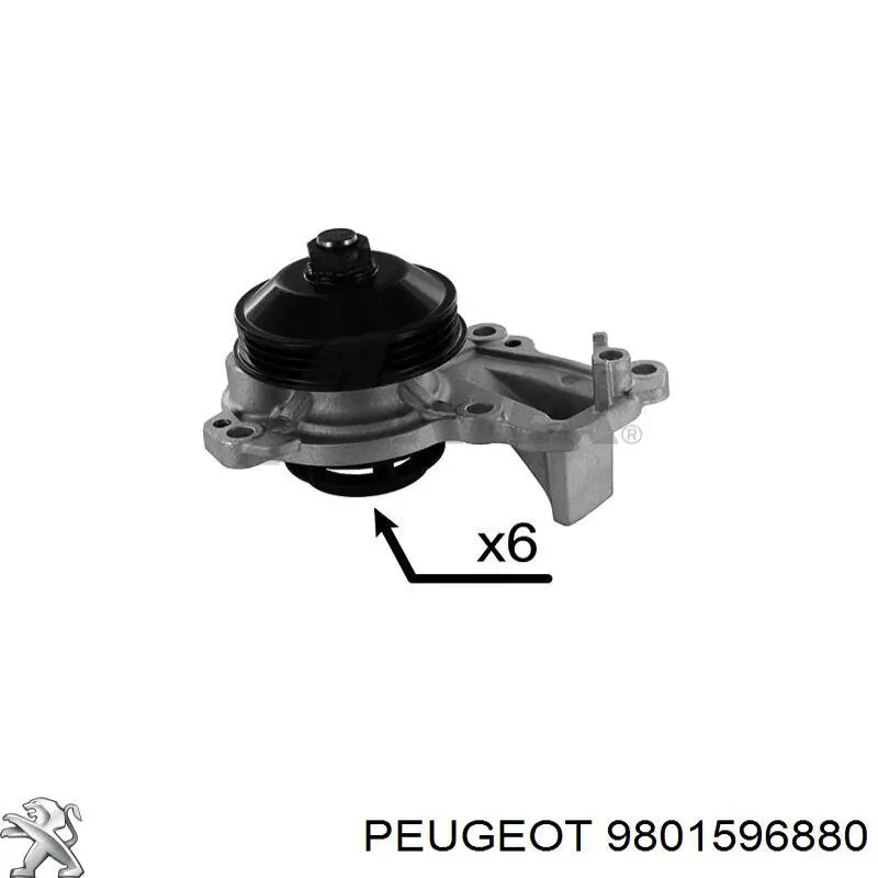 Vedante de bomba de água Peugeot/Citroen 9801596880 preço, a partir de 6,30 USD