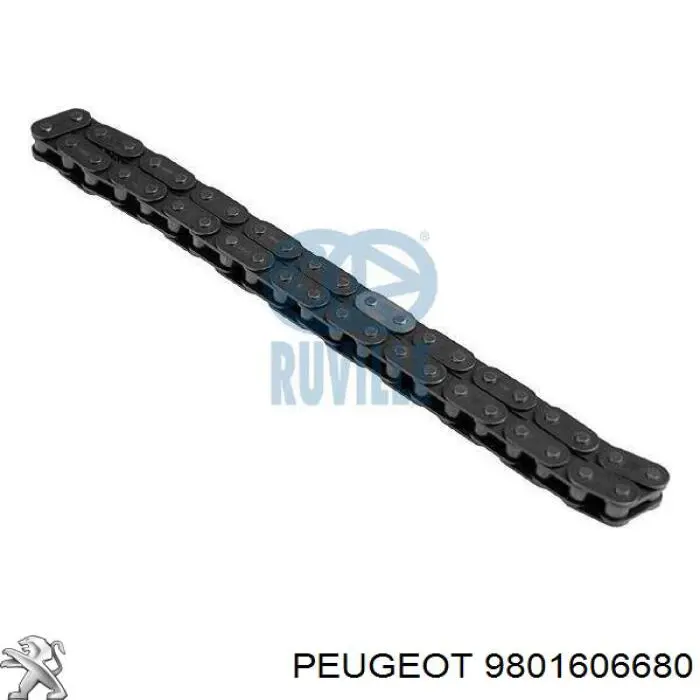 Compre 9801606680 Peugeot/Citroen Cadeia de bomba de óleo