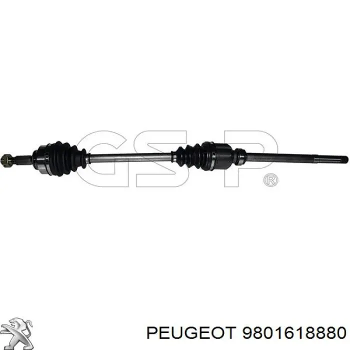 3273VY Peugeot/Citroen Semieixo (acionador) dianteiro direito