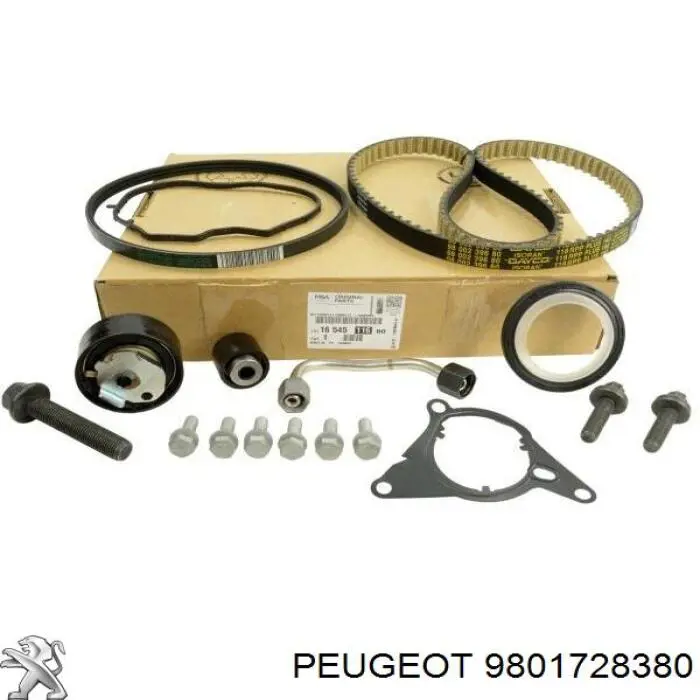 9801728380 Peugeot/Citroen Vedante de bomba de vácuo