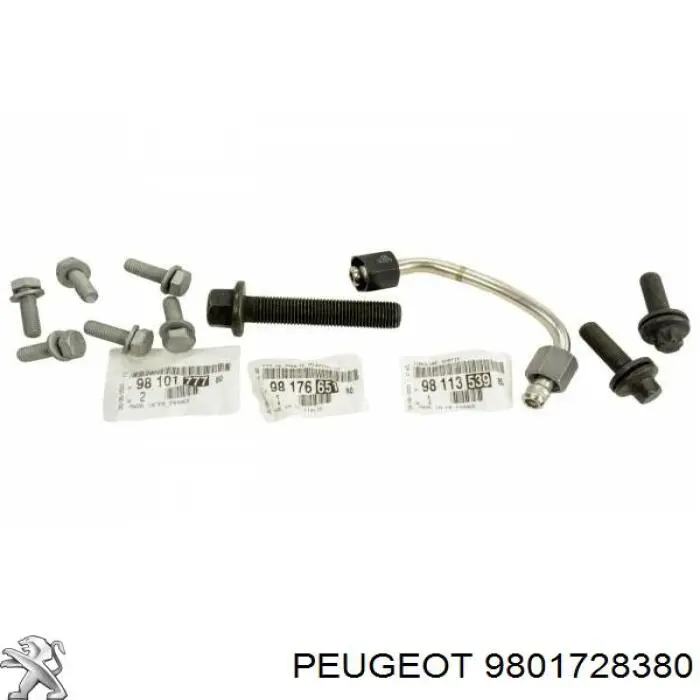 9801728380 Peugeot/Citroen Vedante de bomba de vácuo