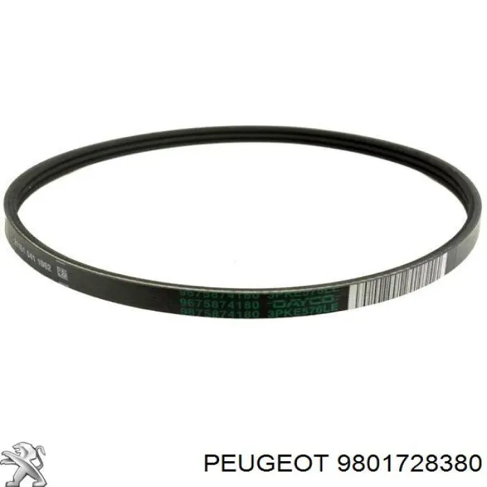 Vedante de bomba de vácuo Peugeot/Citroen 9801728380 preço, a partir de 5,49 USD
