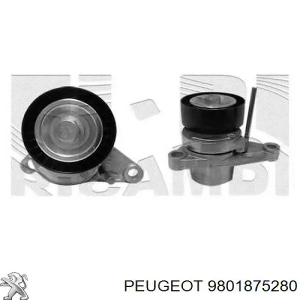 Compre 9801875280 Peugeot/Citroen Reguladora de tensão da correia de transmissão