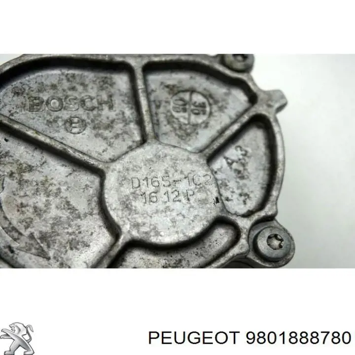 Bomba a vácuo Peugeot/Citroen 9801888780 preço, a partir de 46,05 USD