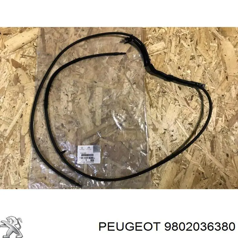 9802036380 Peugeot/Citroen 