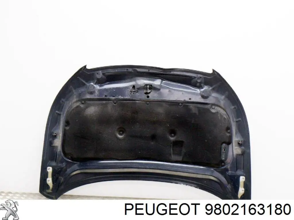 Capota Polcar 57C203 preço, a partir de 437,53 USD