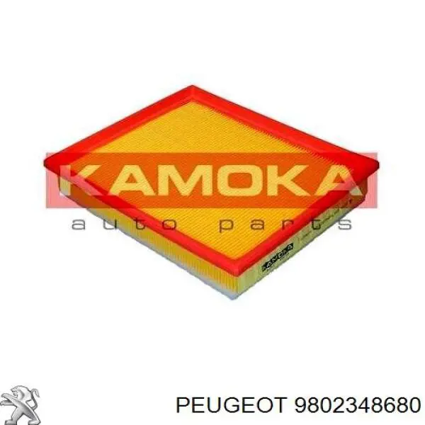 Compre 9802348680 Peugeot/Citroen Filtro de ar