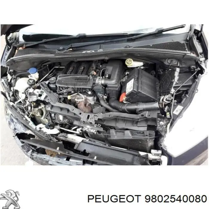 Bomba de combustível de pressão alta Peugeot/Citroen 9815930180 preço, a partir de 386,48 USD