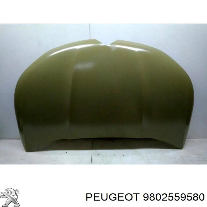 Capota para Citroen C4 RUSSIA B73