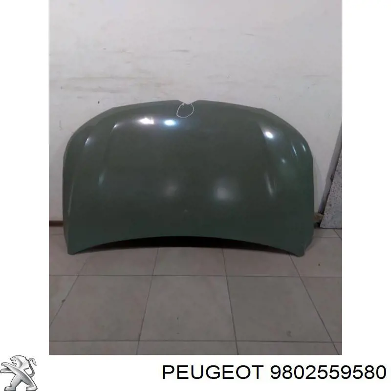 Capota Citroen C4 RUSSIA B73