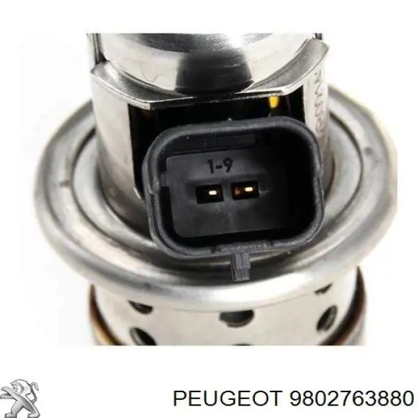 9802763880 Peugeot/Citroen Injetor de injeção AD BLUE