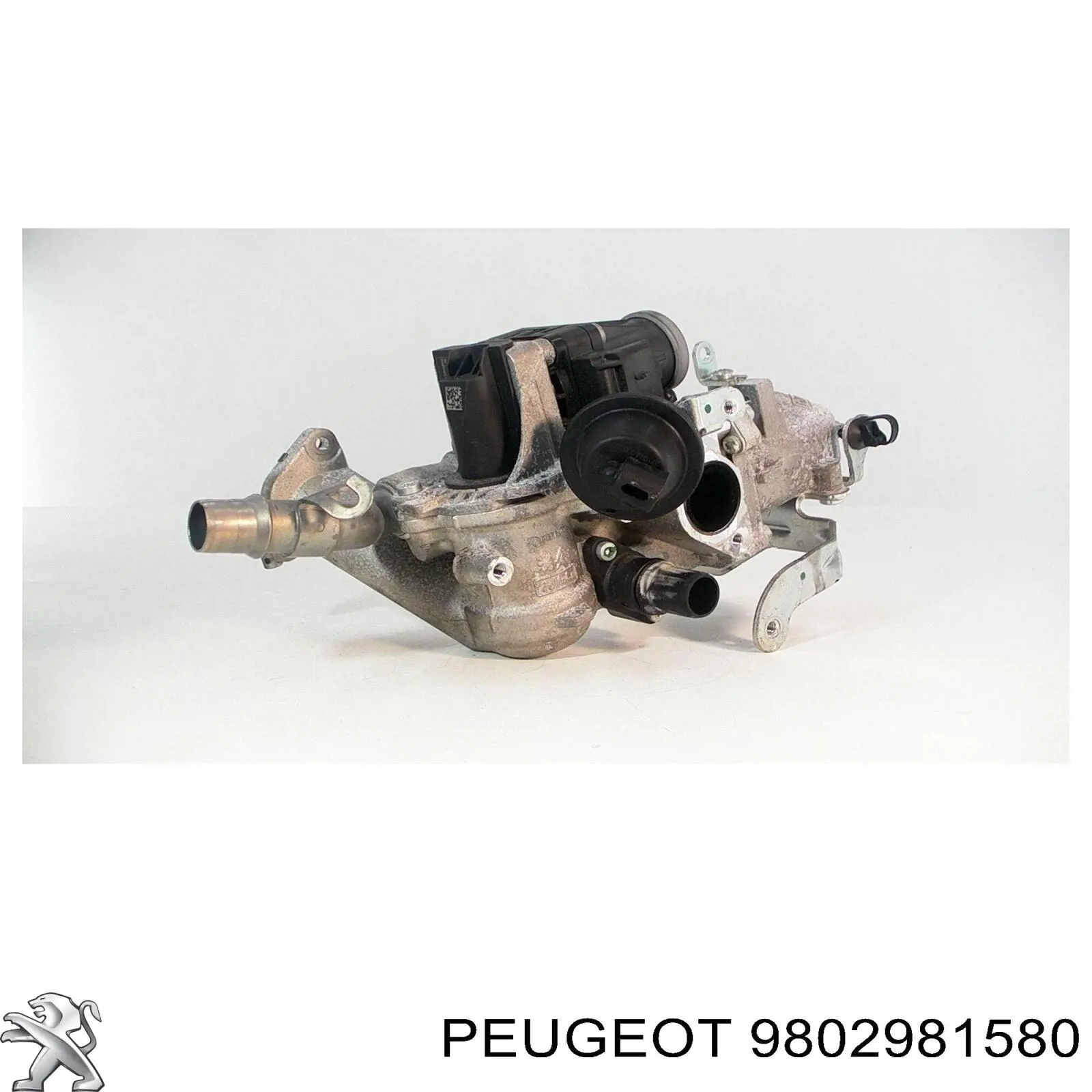 9802981580 Peugeot/Citroen Radiador do sistema EGR de recirculação dos gases de escape