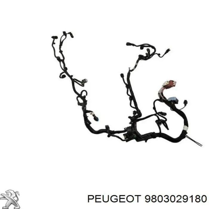 9803029180 Peugeot/Citroen Fios isolados da seção de motor