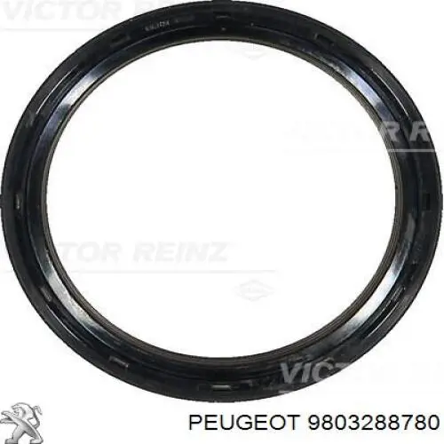 Compre 9803288780 Peugeot/Citroen Vedação dianteira de cambota de motor