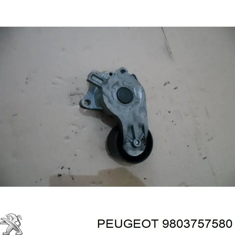 Compre 9803757580 Peugeot/Citroen Reguladora de tensão da correia de transmissão