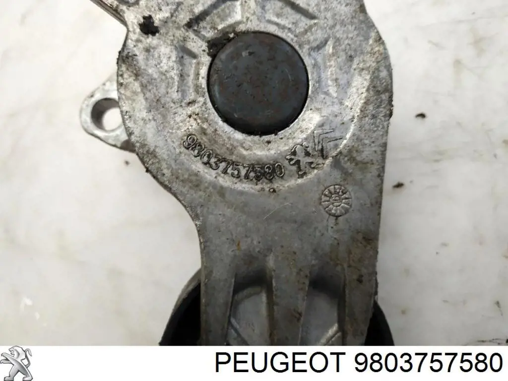 9803757580 Peugeot/Citroen Reguladora de tensão da correia de transmissão