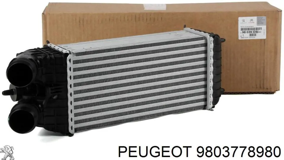Compre 9803778980 Peugeot/Citroen Consola esquerda do radiador de intercooler