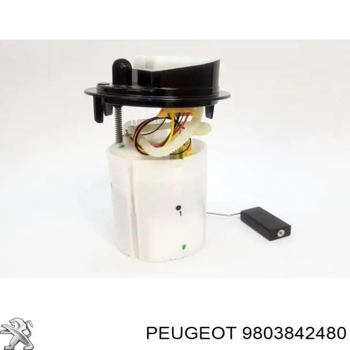 9803842480 Peugeot/Citroen Módulo de bomba de combustível com sensor do nível de combustível