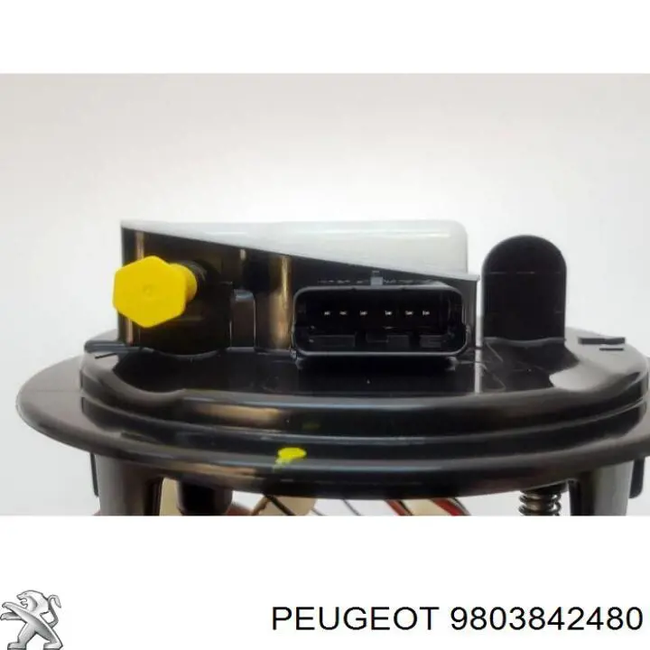 Módulo de bomba de combustível com sensor do nível de combustível 9803842480 Peugeot/Citroen