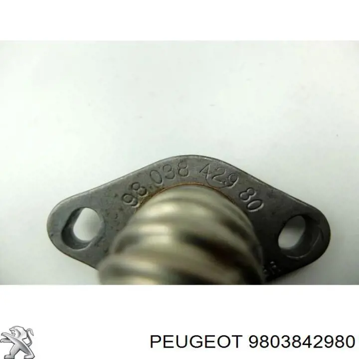 Compre 9803842980 Peugeot/Citroen Cano derivado do sistema de recirculação dos gases de escape EGR