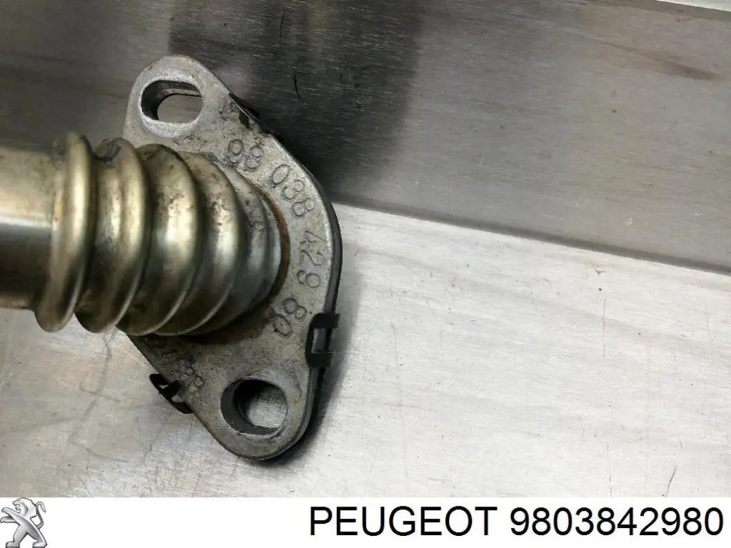 9803842980 Peugeot/Citroen Cano derivado do sistema de recirculação dos gases de escape EGR