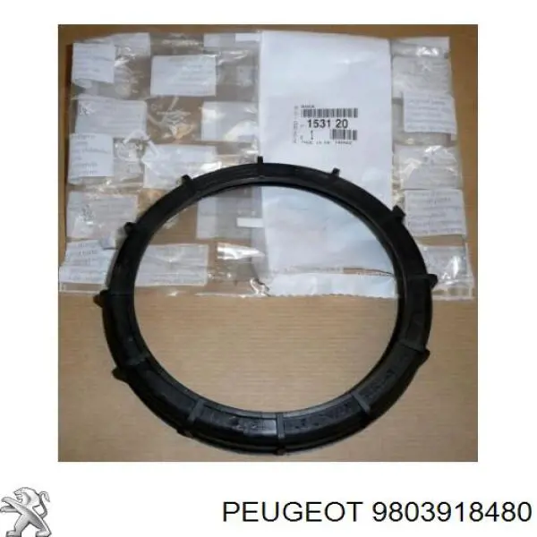 Compre 9803918480 Peugeot/Citroen 