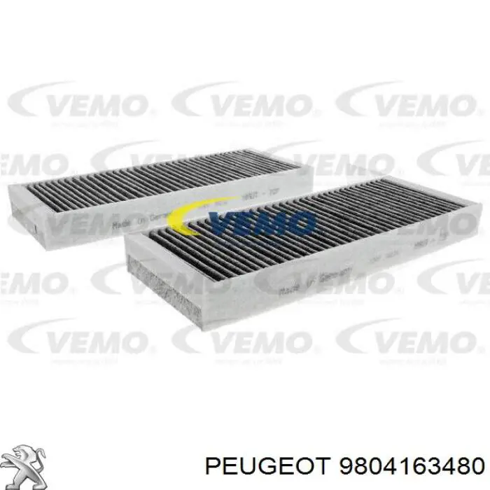 9804163480 Peugeot/Citroen Filtro de salão