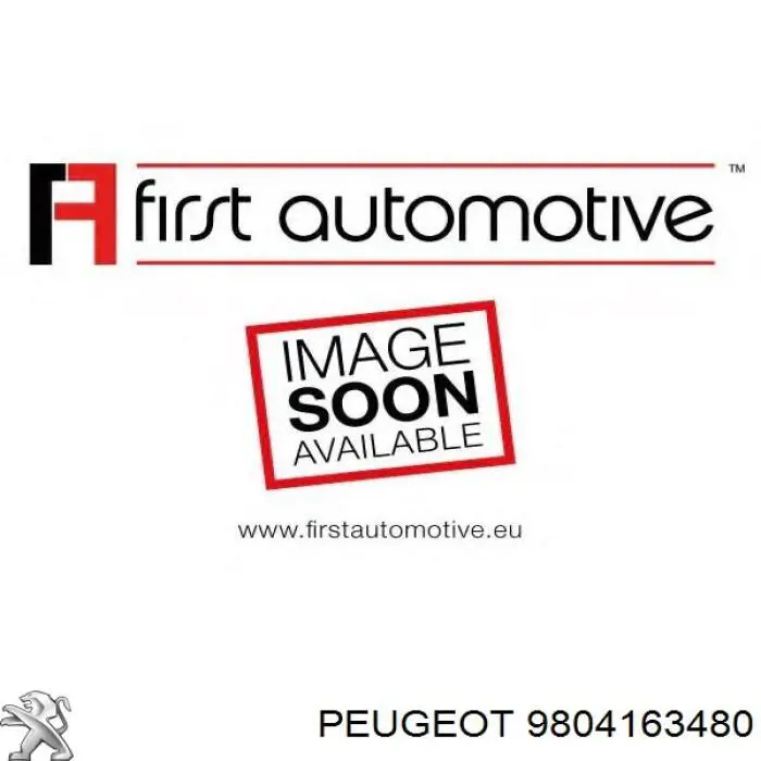Compre 9804163480 Peugeot/Citroen Filtro de salão