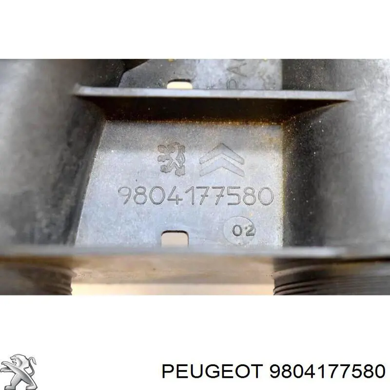 Compre 9804177580 Peugeot/Citroen Mangueira (cano derivado) de intercooler